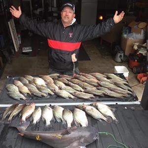 Meet your Posher, Andy